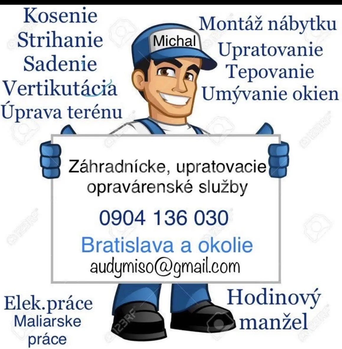 Domáci majster